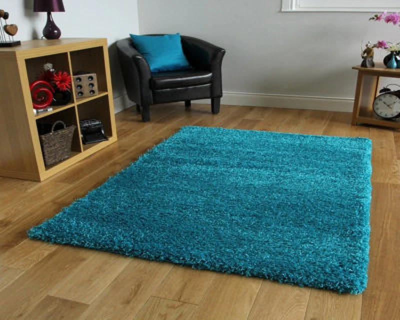 Image of Smart Living Smart Living Soft Fluffy 5cm Thick Pile Shaggy Area Rugs for Living Room, Bedroom in Teal Size: 60cm x 110cm Teal 60cm x 110cm Unisex 0