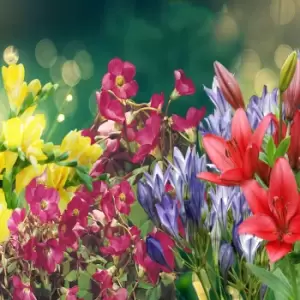 Image of Yougarden Summer Flowering Balcony Beauty Plant-O-Mat