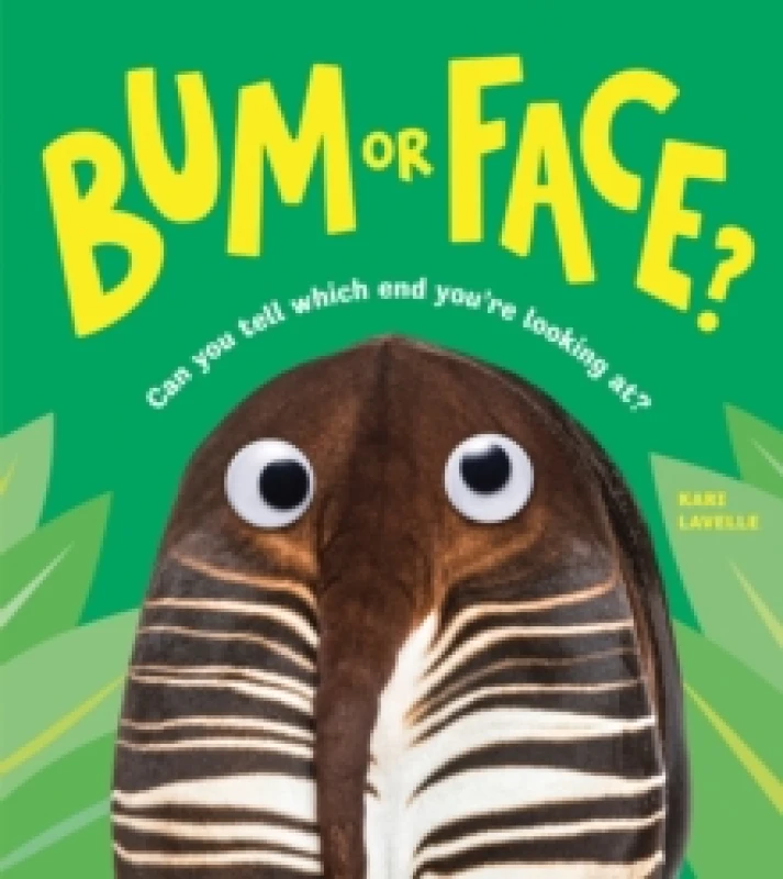Image of Bum or Face Paperback / softback