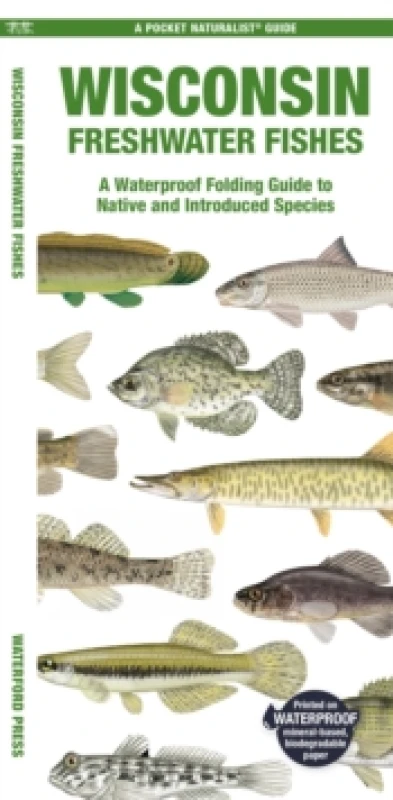 Image of Wisconsin Freshwater Fishes Pamphlet