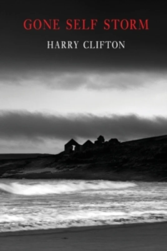 Image of Gone Self Storm Paperback / softback