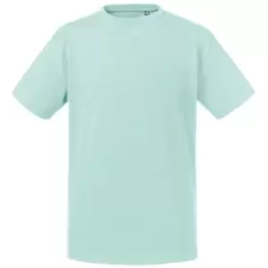 Image of Russell Kids/Childrens Pure Organic T-Shirt (7-8 Years) (Aqua)