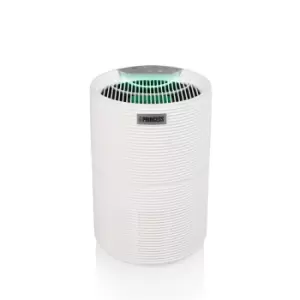 Image of Princess Smart Air Purifier 160 With Hepa Filter