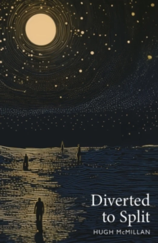 Image of Diverted to Split Paperback / softback