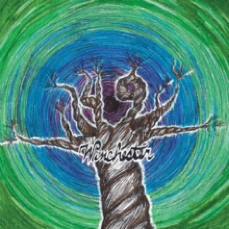 Image of 49 Winchester Vinyl