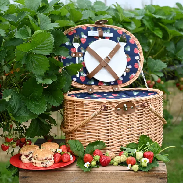 Image of Strawberries & Cream 2 Person Insulated Wicker Picnic Basket Set Brown