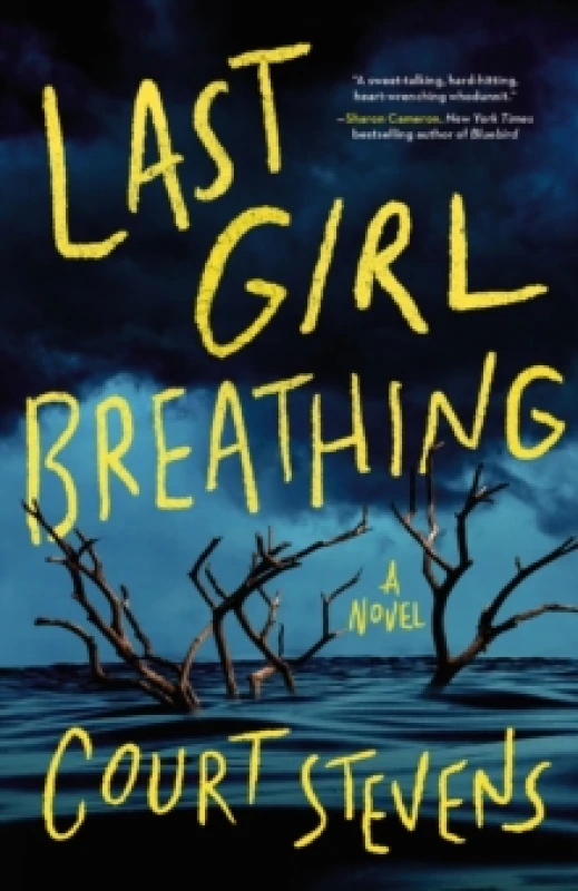 Image of Last Girl Breathing. Hardback. By Court Stevens Books