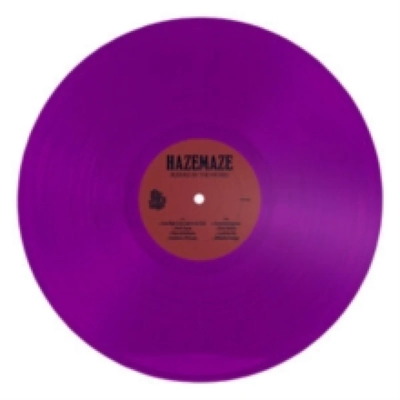 Image of Blinded By the Wicked Vinyl