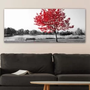 Image of YTY247508341_50120 Multicolor Decorative Canvas Painting