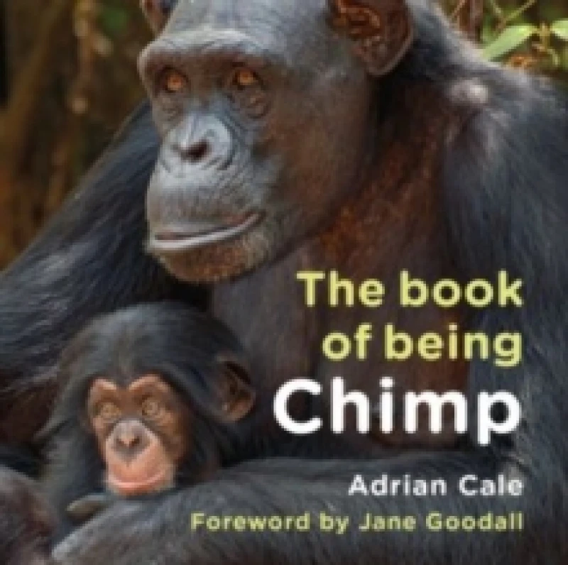 Image of The Book of Being Chimp Hardback