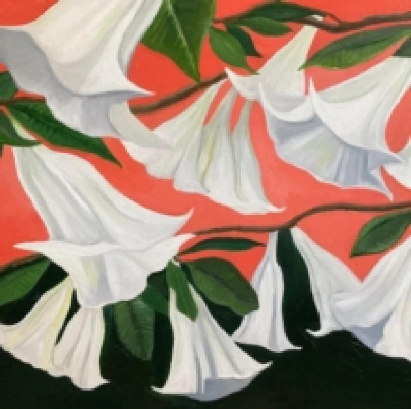 Image of Another Place CD / Album