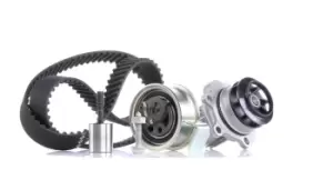 Image of INA Water Pump + Timing Belt Kit VW,AUDI,FORD 530 0091 31 038109119L,038109119N,038109119P 038109119S,038121011C,038121011CX,038121011D,038121011G