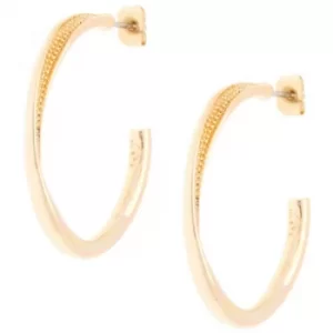 Image of Ladies Karen Millen Gold Plated Textured Twist Hoop Earring