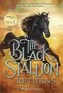Image of black stallion returns