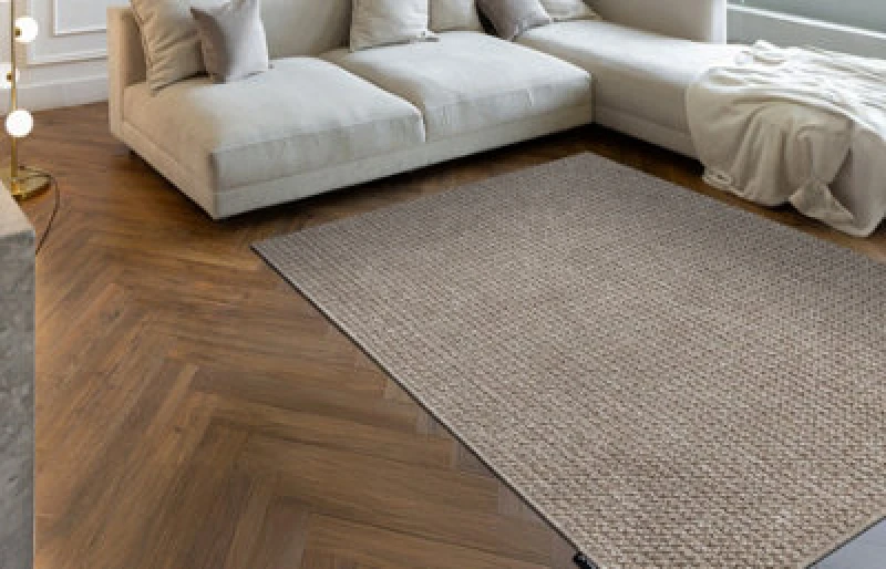 Image of RugsX Carpet Casablanca Loop Brown Loop, Soft 60X100 Cm