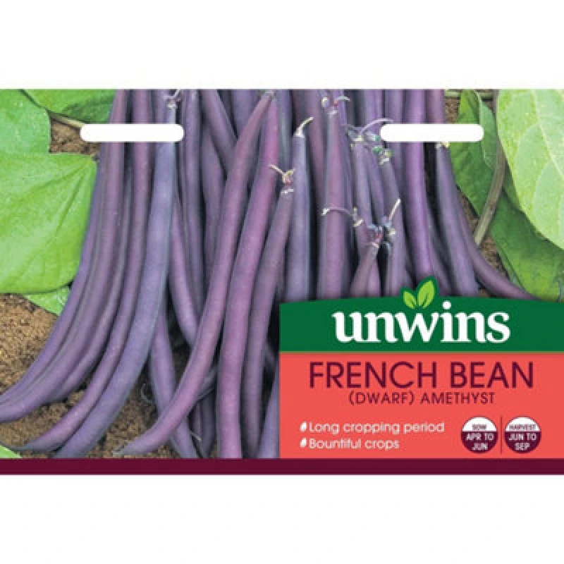 Image of Unwins French Bean (Dwarf) Amethyst
