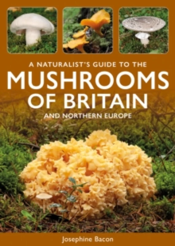 Image of A Naturalist's Guide to the Mushrooms of Britain and Northern Europe Paperback / softback