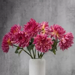 Image of Crossland Grove Dahlia Stem Purple (6Pk) 730Mm