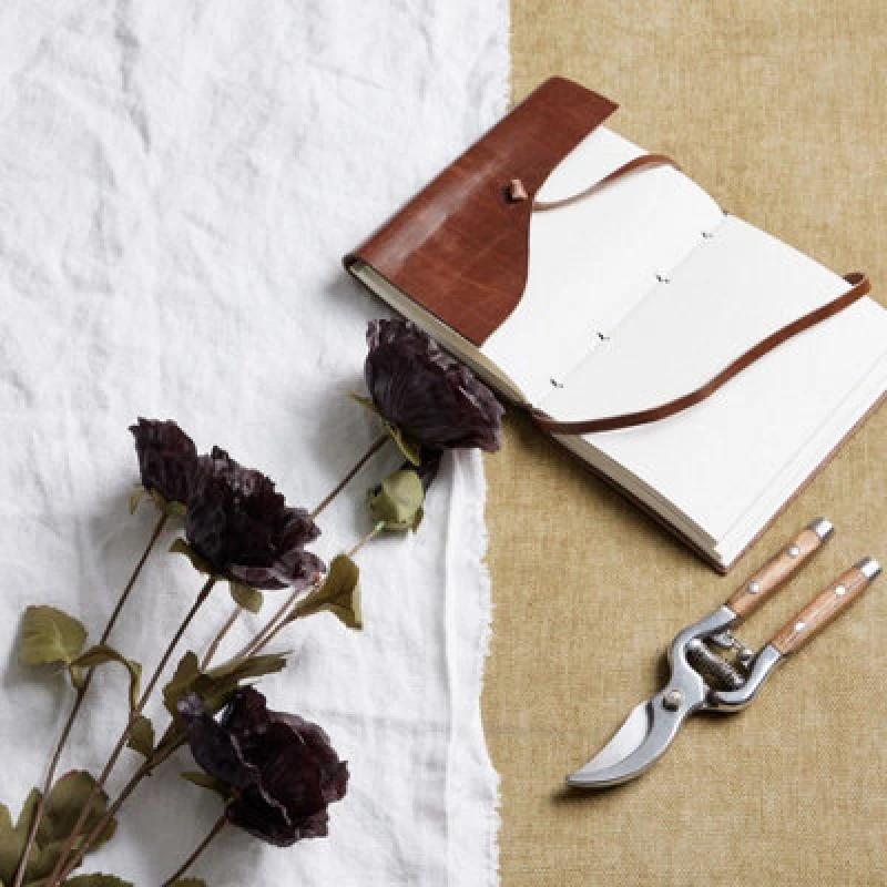 Image of Tall Black Poppy Stem