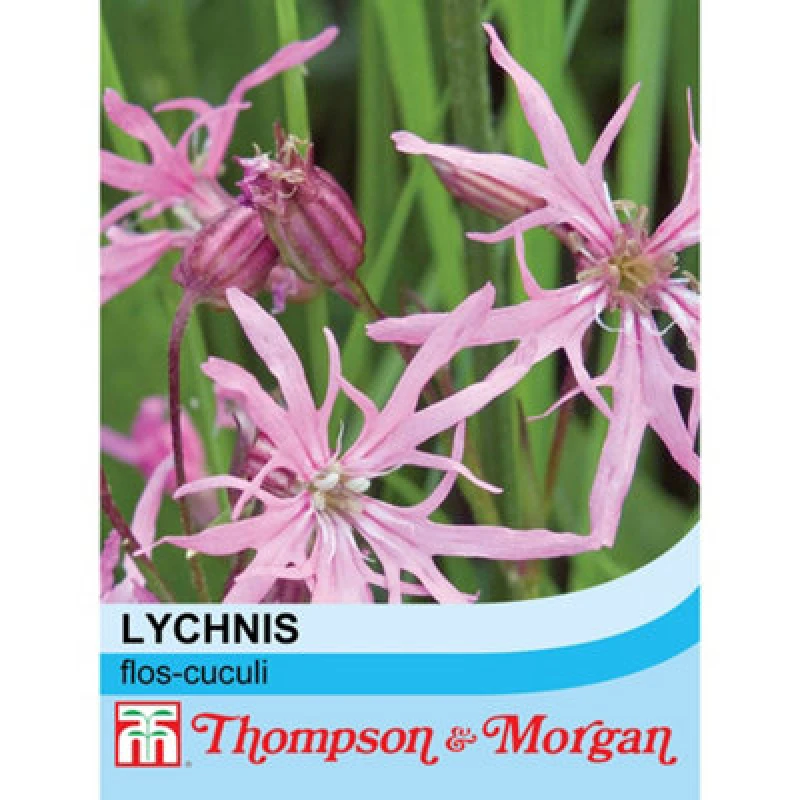 Image of Thompson & Morgan Wildflower Ragged Robin (Lychnis Flos-Cucul) 1 Seed Packet (60 Seeds)
