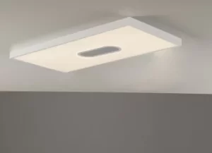 Image of LED Panels White 1840lm with Remote Control CCT Dimmable 29.5x59.5x3.8cm