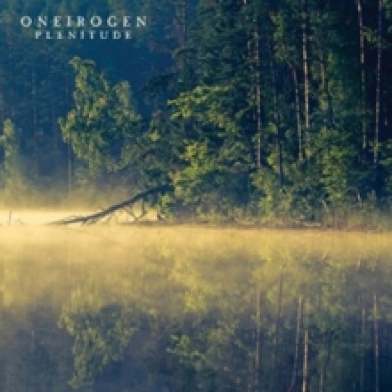 Image of Plenitude Vinyl