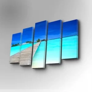 Image of 5PUC-027 Multicolor Decorative Canvas Painting (5 Pieces)