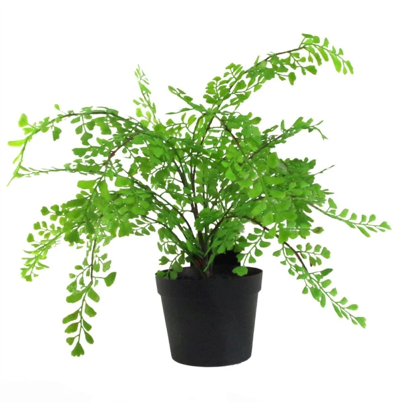 Image of Leaf 35cm Artificial Potted Fern Plant (Southern Maidenhair Fern) Green