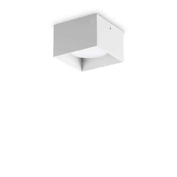 Image of Spike Square Surface Mounted Downlight White