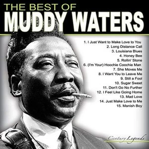 Image of Muddy Waters - The Best Of Muddy Waters Vinyl
