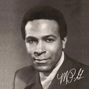 Image of Marvin Gaye - Mpg Vinyl