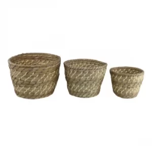 Image of Set Of 3 Woven Grass Planters