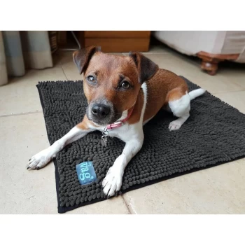 Image of Microfibre Noodle Pet Mat - Medium - 40731 - Henry Wag