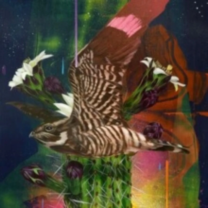 Image of Playa Larga/1900 Ocean Ave. Vinyl