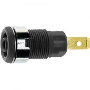 Image of Safety jack socket Socket vertical vertical Pin diameter 4mm Black