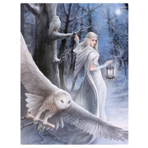 Image of Small Midnight Messenger Canvas Picture by Anne Stokes