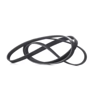 Image of RIDEX V-ribbed belt 305P0096 Serpentine belt,Auxiliary belt VW,MERCEDES-BENZ,FORD,Transporter IV Bus (70B, 70C, 7DB, 7DK, 70J, 70K, 7DC, 7DJ)