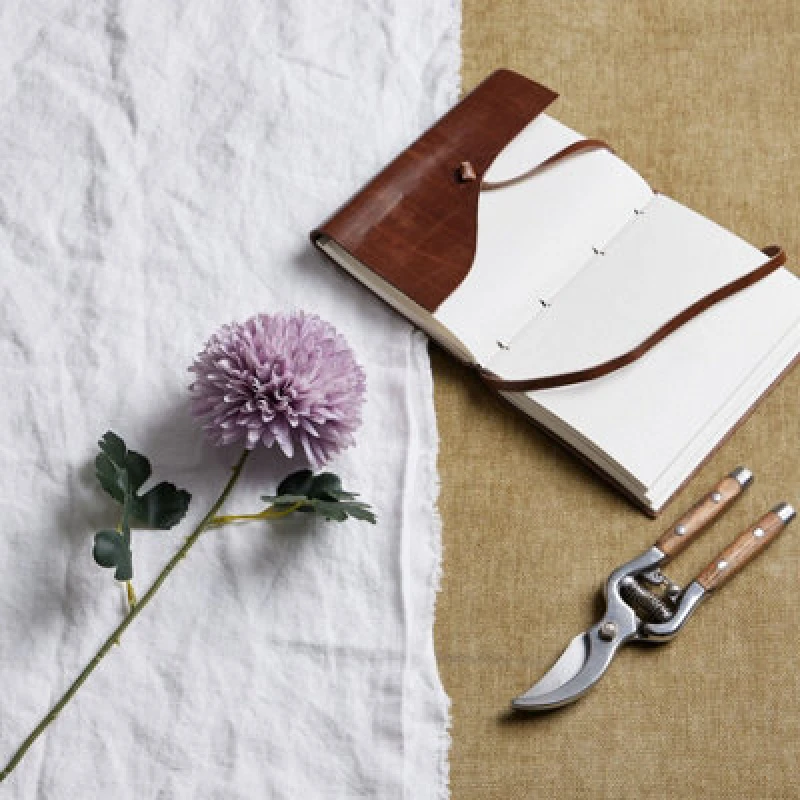 Image of Light Purple Chrysanthemum