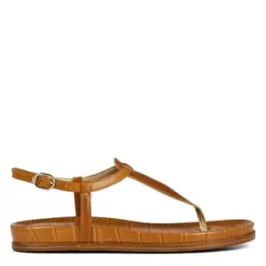 Image of Sam Edelman Naomi Sandals - Brown