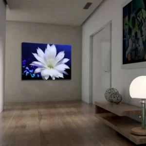 Image of 701002021C-006 Multicolor Decorative Canvas Painting