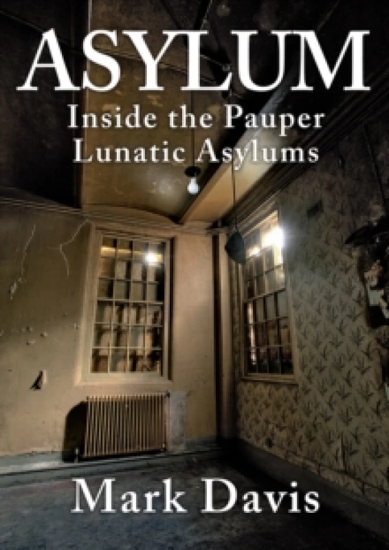 Image of Asylum : Inside the Pauper Lunatic Asylums Paperback / softback