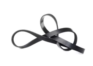 Image of FEBI BILSTEIN V-ribbed belt AUDI,RENAULT,NISSAN 28855 07L903137E,07L903137T,7L903137E 7L903137T,8200020924,2521239800,ERR914,1172000QAN,11720BN700