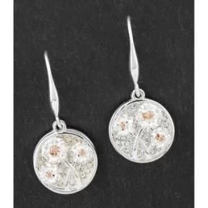 Image of Botanicall Two Tone Glam Gerbera Earrings