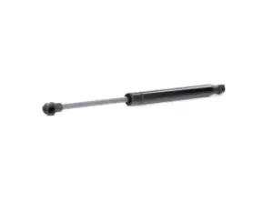 Image of RIDEX Tailgate strut SAAB 219G0744 1012831543,12831543