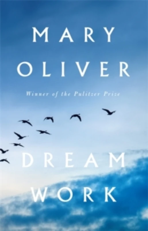 Image of Dream Work Hardback