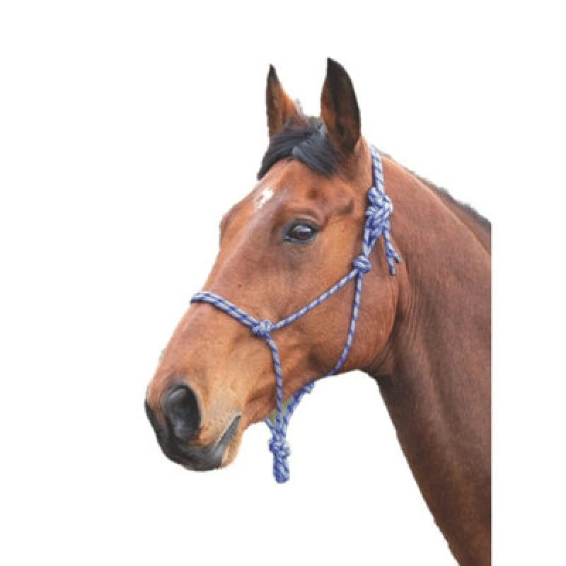 Image of Shires Rope Horse Headcollar Navy/white (One Size)