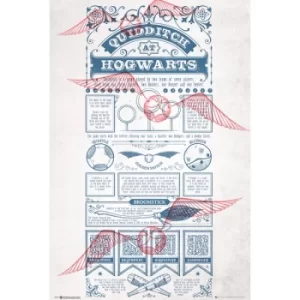 Image of Harry Potter Quidditch at Hogwarts Maxi Poster