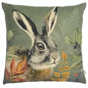 Image of Forest Hare Cushion Grey
