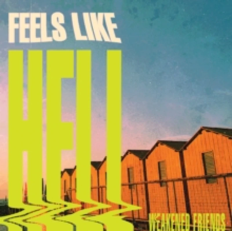 Image of Feels Like Hell Vinyl