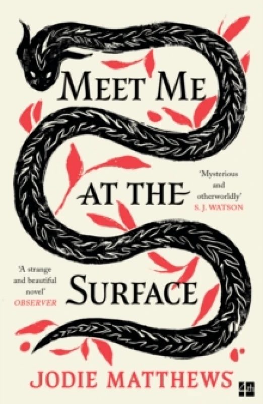 Image of Meet Me at the Surface. Paperback. By Jodie Matthews Books